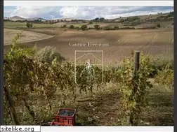 Sites similar to cantineferentum.it