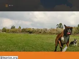 Sites similar to caonosso.pt