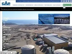 Sites similar to cap.cl