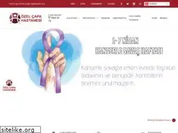 Sites similar to capahastanesi.com
