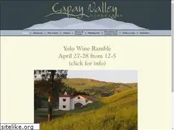 Sites similar to capayvalleyvineyards.com