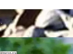 Sites similar to cape.coop