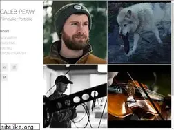 Sites similar to capeavy.com
