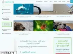 Sites similar to capebeachdog.com