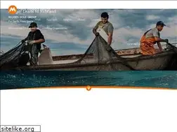 Sites similar to capecodbrandagency.com