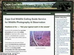 Sites similar to capecodwildlifecalling.com