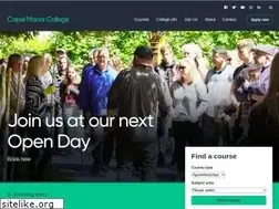 Sites similar to capel.ac.uk