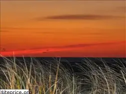 Sites similar to capemayresort.com