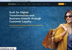 Sites similar to capillarytech.com