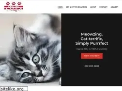 Sites similar to capitalkittycatresort.com