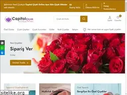 Sites similar to capitolcicek.com