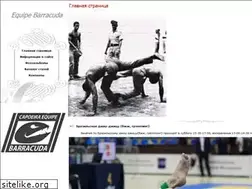 Sites similar to capoeira.cc