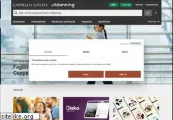 Sites similar to cappelendammundervisning.no