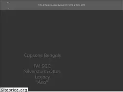 Sites similar to capstonebengals.com