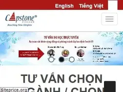 Sites similar to capstonevietnam.com