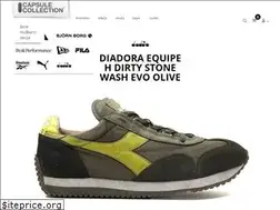 Sites similar to capsule.rs