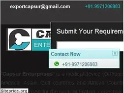 Sites similar to capsurenterprises.in