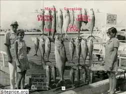 Sites similar to captainbriansseafood.com