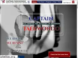Sites similar to captaintaekwondo.com