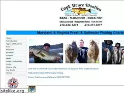 Sites similar to captbrucewootten.com