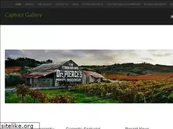 Sites similar to capturefineart.com