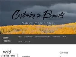 Sites similar to capturingtheelements.com