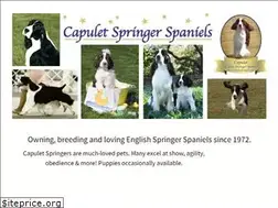 Sites similar to capuletspringers.com