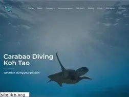 Sites similar to carabaodivingkohtao.com