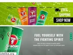 Sites similar to carabaoenergy.co.za