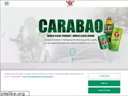 Sites similar to carabaogroup.com