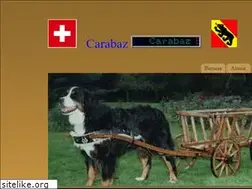 Sites similar to carabaz.com