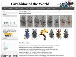 Sites similar to carabidae.org