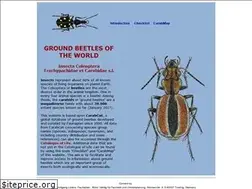 Sites similar to carabidfauna.net