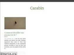 Sites similar to carabin.org
