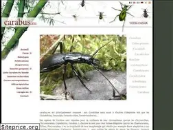 Sites similar to carabus.eu