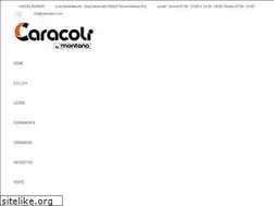 Sites similar to caracolisrl.com