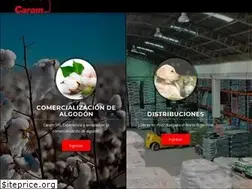 Sites similar to caramsrl.com