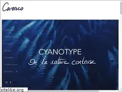 Sites similar to carasco.fr