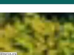 Sites similar to caravelaseventos.com.br