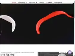 Sites similar to caravelpartners.net