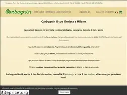 Sites similar to carbogninfiori.it