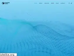 Sites similar to carbon-pixel.com