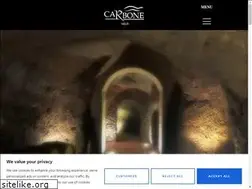 Sites similar to carbonevini.it