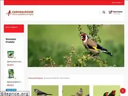 Sites similar to cardinalrouge.fr