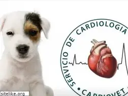 Sites similar to cardiovet.cl