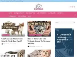 Sites similar to caredicat.com