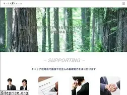 Sites similar to careersupportfirm.com