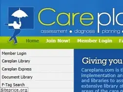 Sites similar to careplans.com