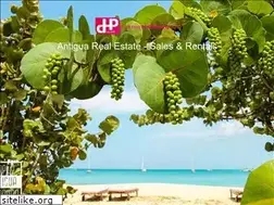 Sites similar to caribbeanhotproperty.com