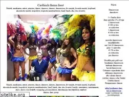 Sites similar to caribisch-thema-feest.nl